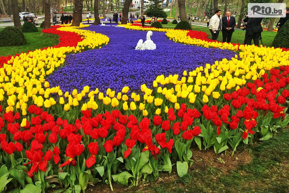 ТА Поход - thumb 12 ТА Поход - thumb 12