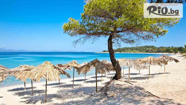 Теско груп - thumb 6