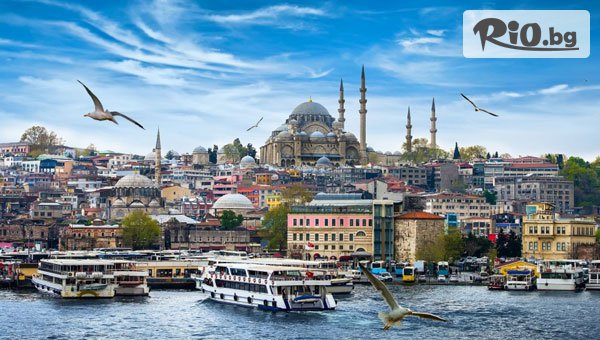 Джуанна Травел - thumb 3