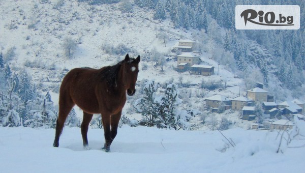 Ранчо Диви Родопи - thumb 4