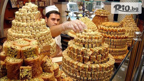 Молина Травел - thumb 4