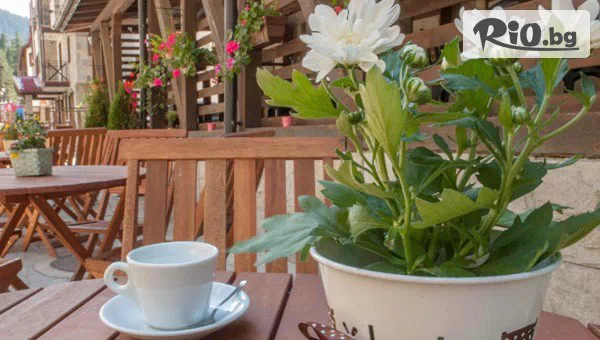 Грийн Лайф Фемили Апартмънтс - thumb 8