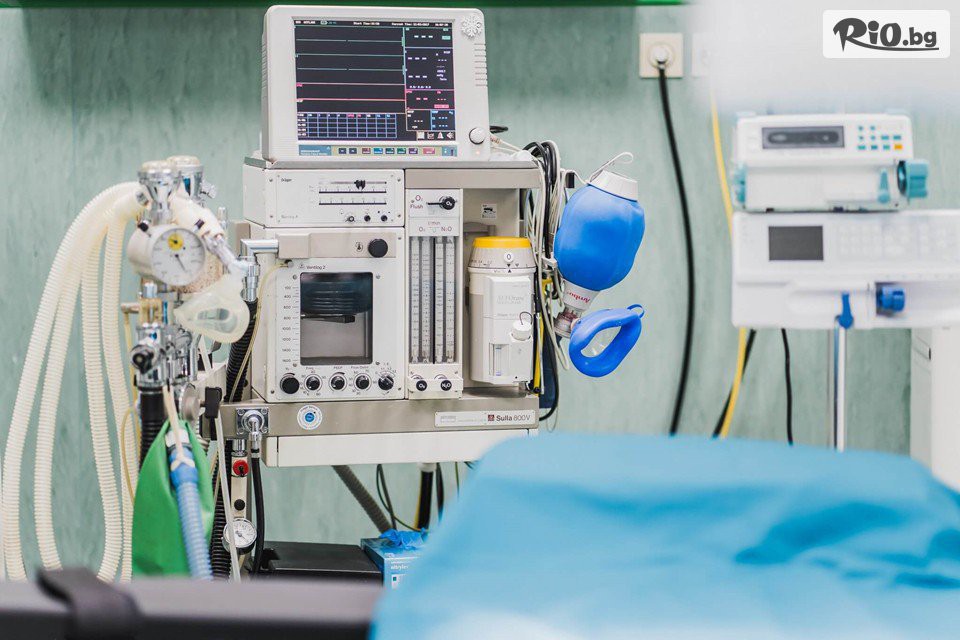 Eвровита Дентал - thumb 10 Eвровита Дентал - thumb 10