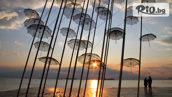 Вени Травел - thumb 4