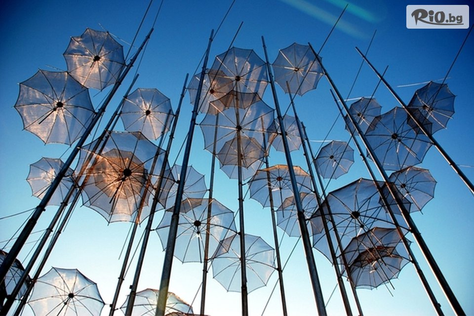 Вени Травел - thumb 2