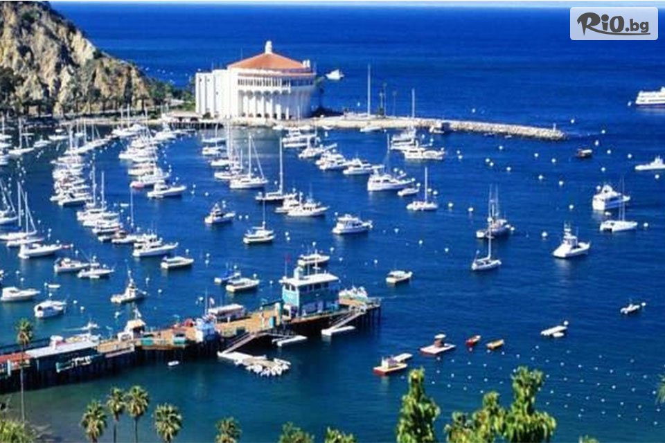 Вени Травел - thumb 5