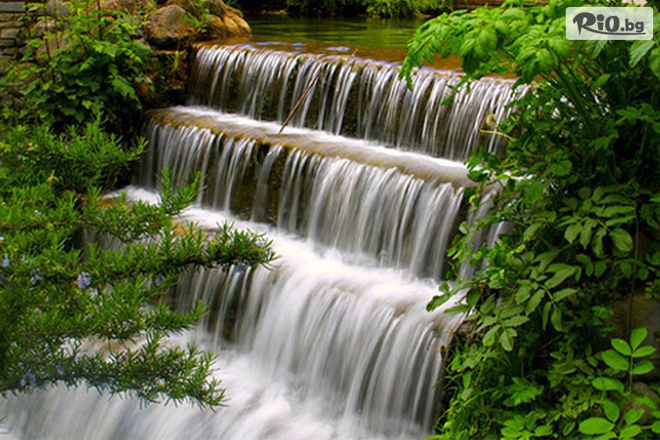 Вени Травел - thumb 14