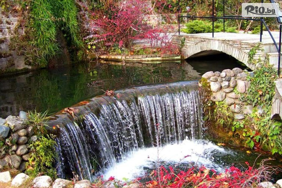 Вени Травел - thumb 13