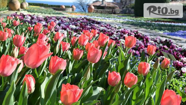 White Rock Castle - thumb 7