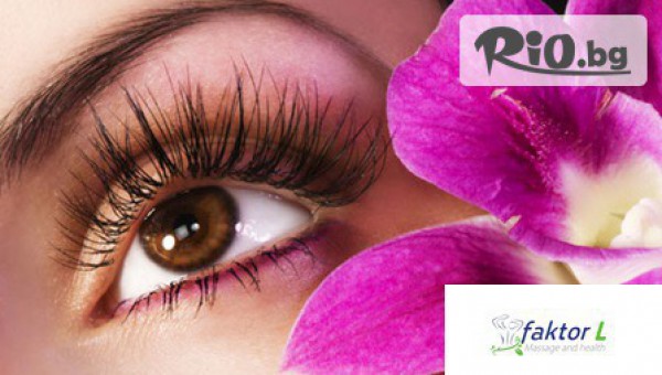 Студио Faktor L - thumb 4