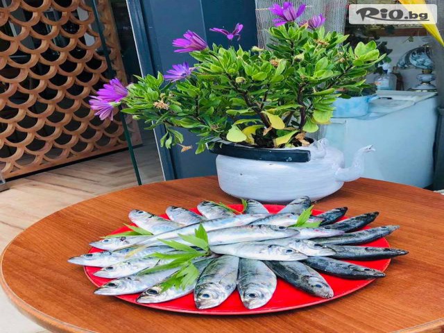 Ресторантчето Efe - thumb 14 Ресторантчето Efe - thumb 14