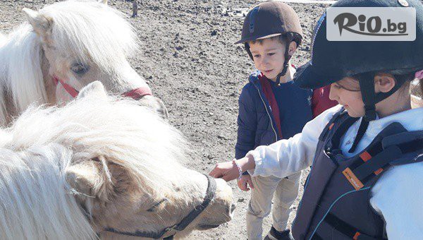 Конна база Тара - thumb 5