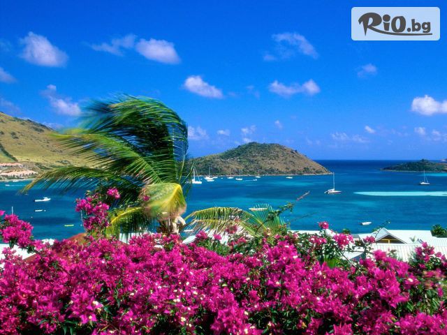 Премио Травел - thumb 16 Премио Травел - thumb 16