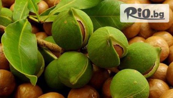 Ultra Style - thumb 3