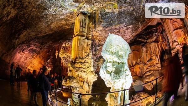 Golden Voyages - thumb 3