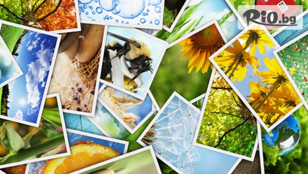 Сентрал Фото - thumb 4