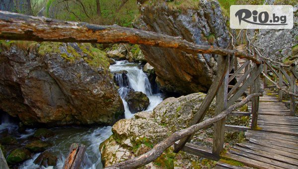 Arkain Tour - thumb 3