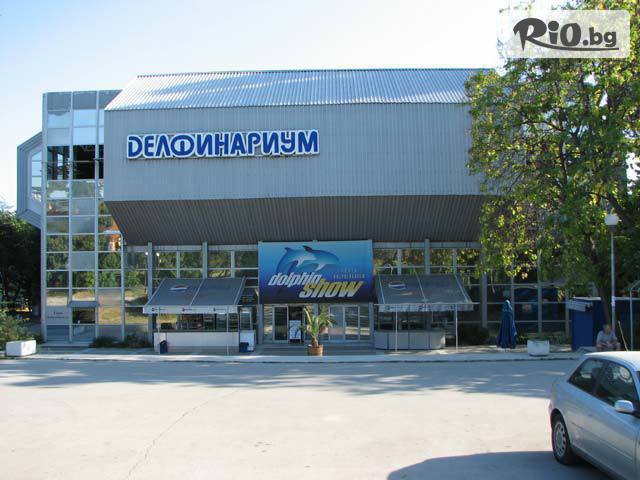 Виватурс - thumb 1 Виватурс - thumb 1