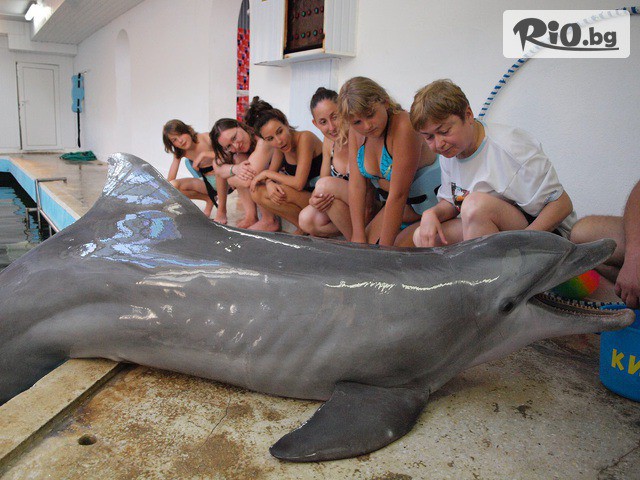 Виватурс - thumb 3