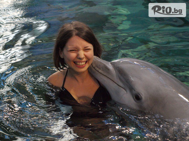 Виватурс - thumb 4