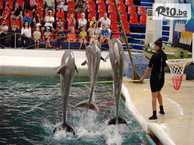 Виватурс - thumb 5