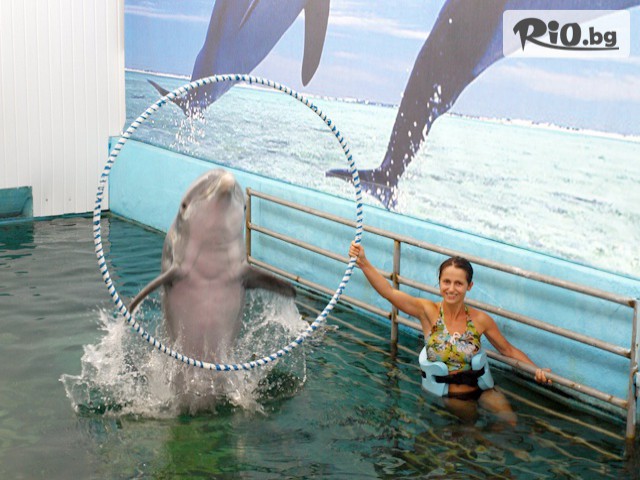 Виватурс - thumb 6 Виватурс - thumb 6