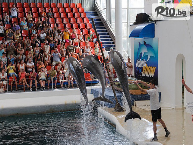 Виватурс - thumb 7 Виватурс - thumb 7