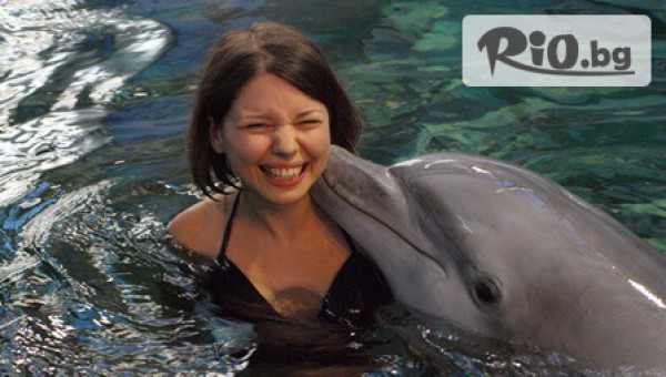 Виватурс - thumb 2