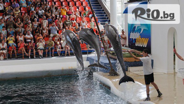 Виватурс - thumb 1