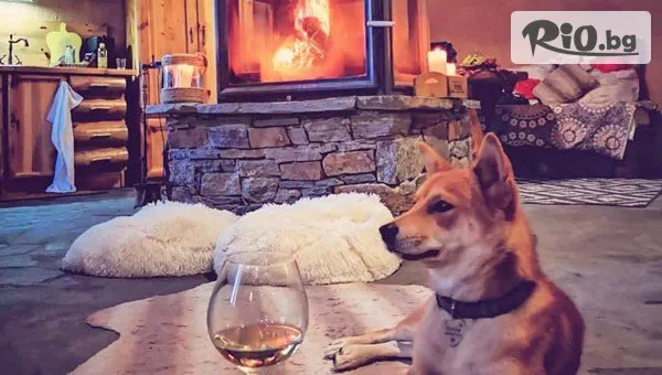 Еко къща Землянка - thumb 8