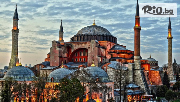 Дискориум - thumb 3