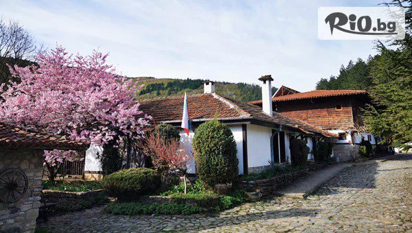 Комплекс Дивеците - thumb 4