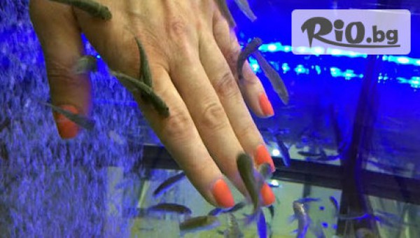 Студио Garra Rufa - thumb 3