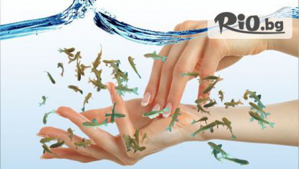 Студио Garra Rufa - thumb 4