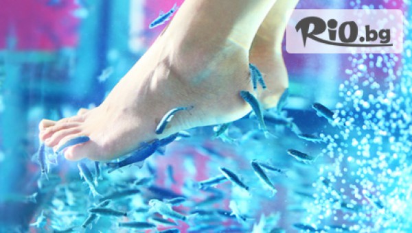 Студио Garra Rufa - thumb 6