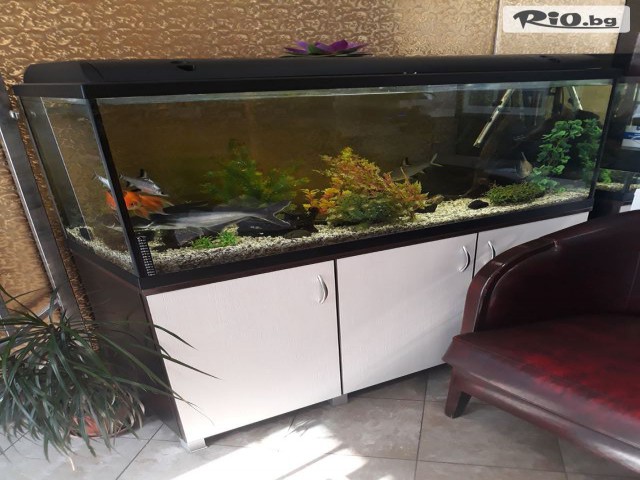 Центрове Енигма - thumb 3 Центрове Енигма - thumb 3