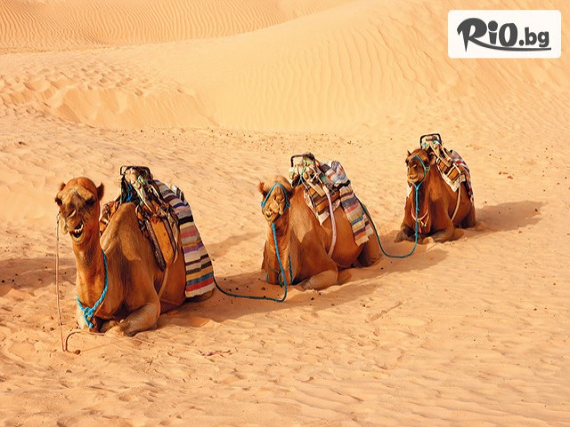 Премио Травел - thumb 10 Премио Травел - thumb 10