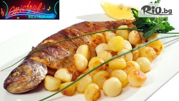 Отпразнувайте Никулден с вкусно хапване и жива музика! Салата и основно ястие с гарнитура по избор, от Ресторант Мистрал