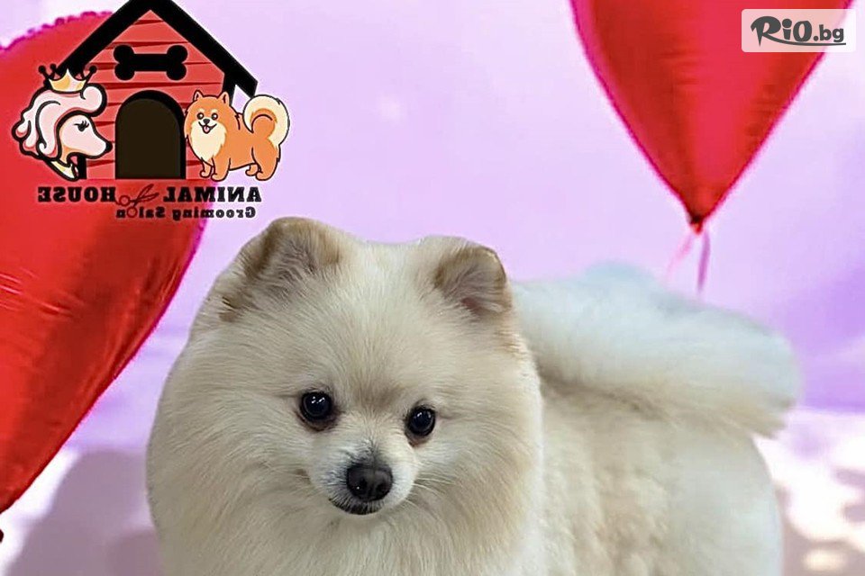 Грумин салон Animal House - thumb 5 Грумин салон Animal House - thumb 5