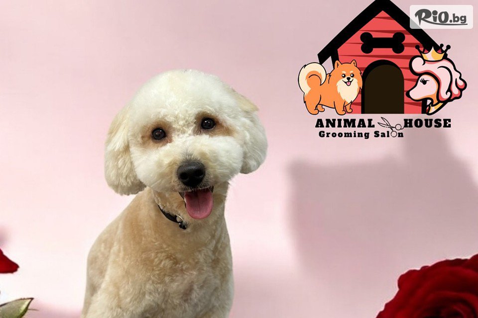 Грумин салон Animal House - thumb 6 Грумин салон Animal House - thumb 6