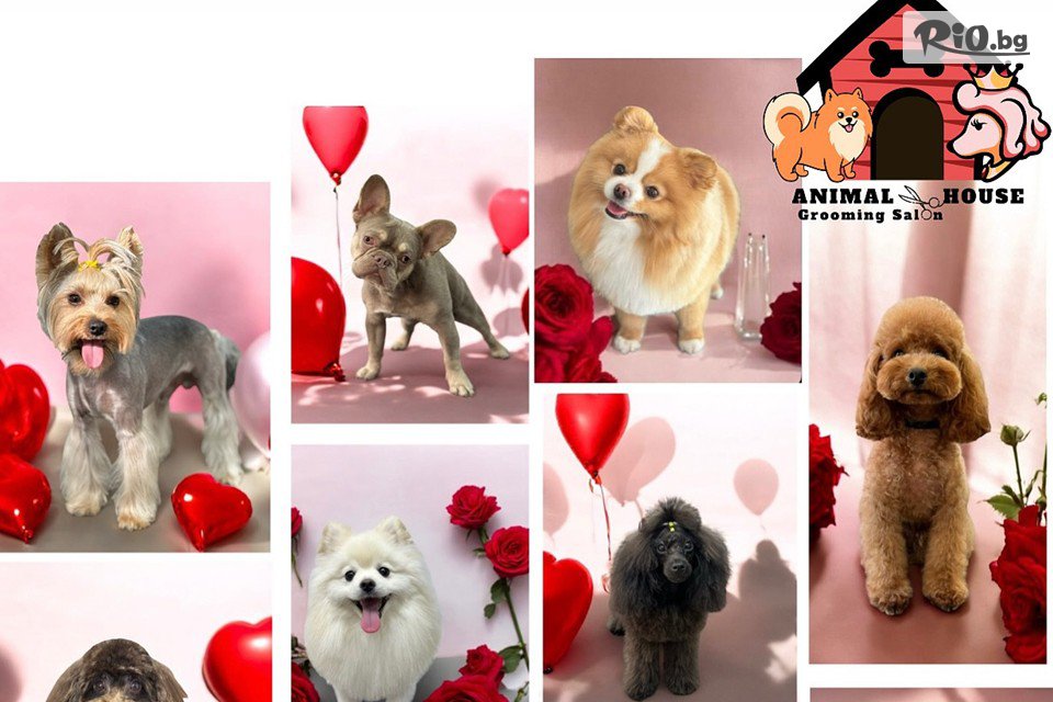 Грумин салон Animal House - thumb 2 Грумин салон Animal House - thumb 2