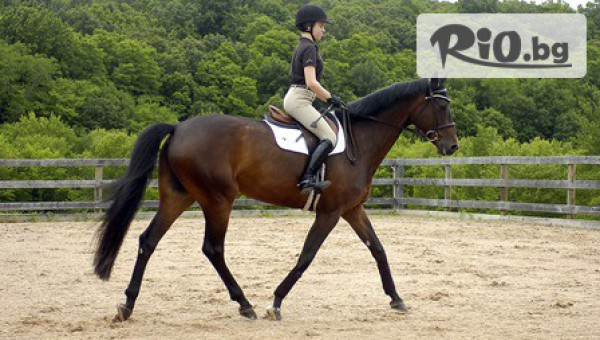 Конна база София - Юг - thumb 2