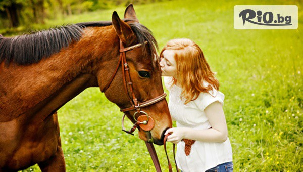 Конна база София - Юг - thumb 4