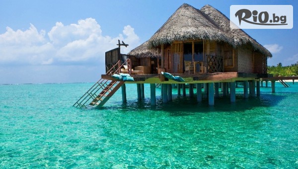 НИКОНА ТРАВЕЛ - thumb 4