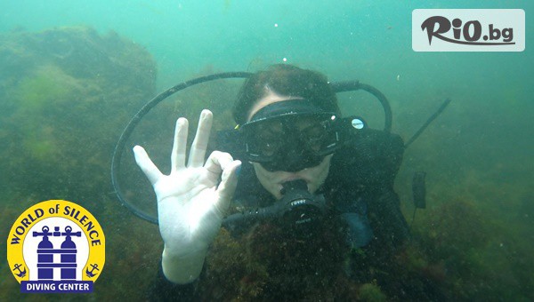 Светът на мълчанието - thumb 2