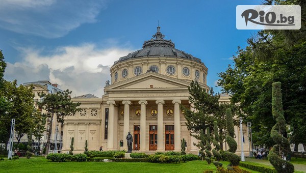 Комфорт Травел - thumb 4