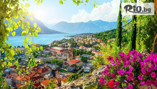 Вени Травел - thumb 8