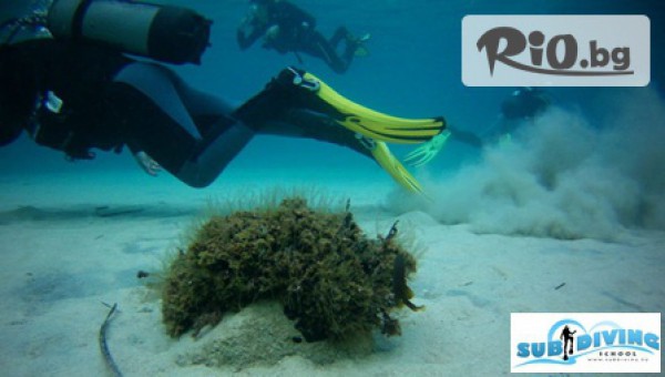 Sub Diving - thumb 2