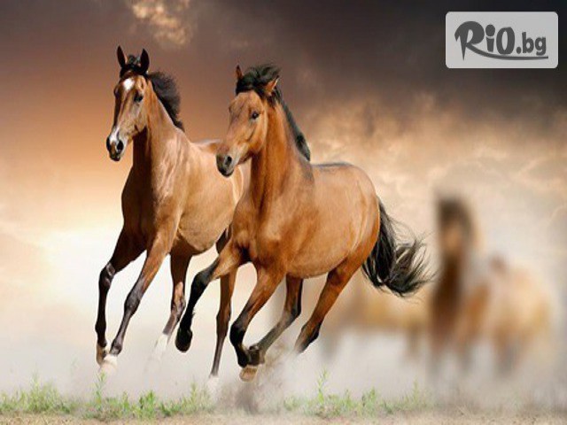 VitoshaFUN - thumb 3 VitoshaFUN - thumb 3