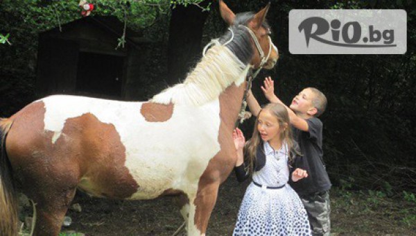 VitoshaFUN - thumb 2